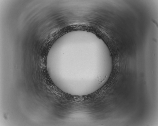 X0000101150965200807251044