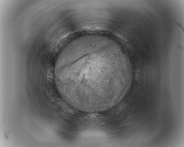 X0000101150966200807251044