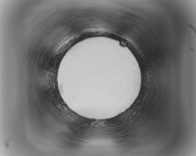 X0000101150967200807251044