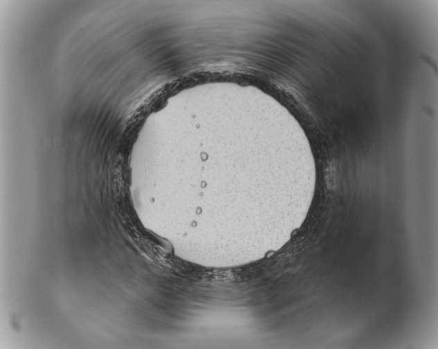 X0000101150968200807251044