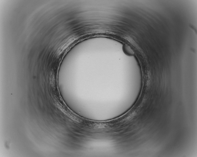 X0000101150969200807251044