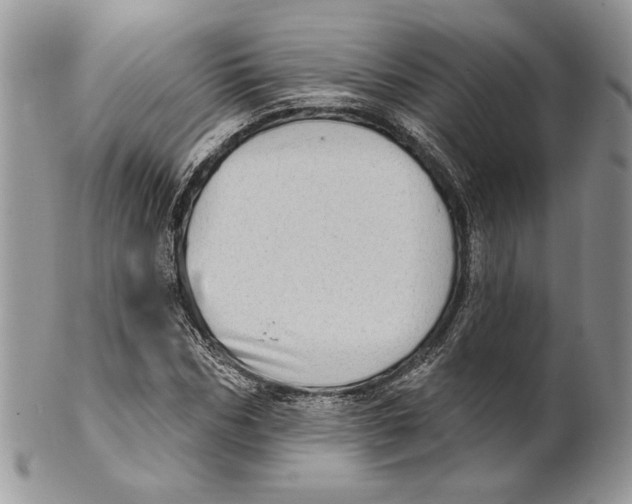 X0000101150970200807251044