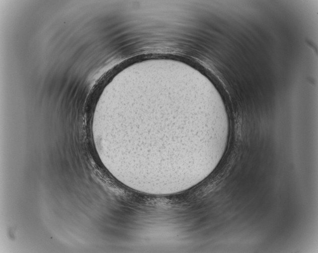 X0000101150971200807251044