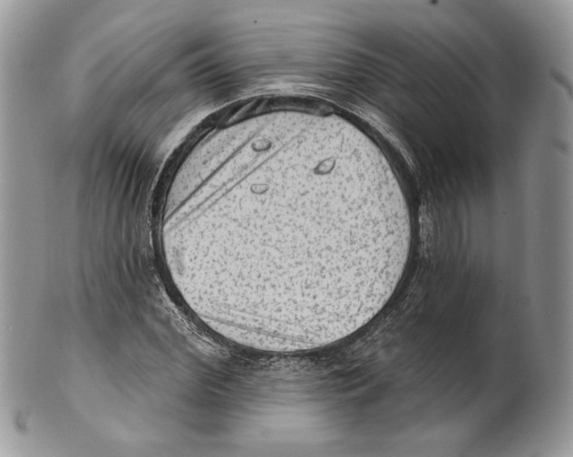 X0000101150972200807251044
