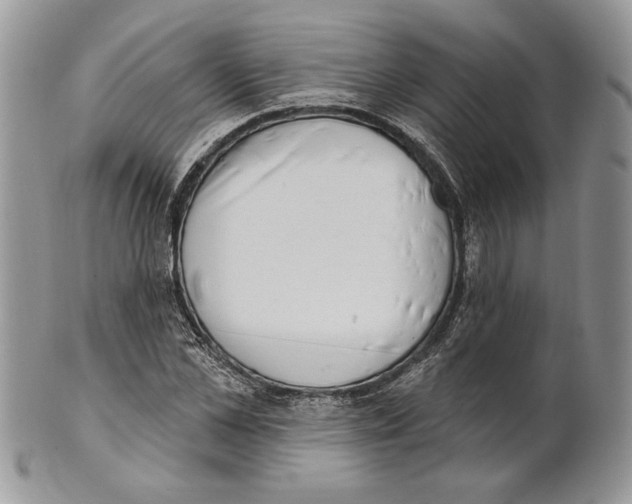 X0000101150973200807251044