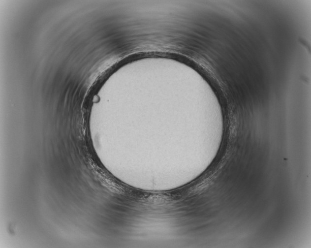 X0000101150974200807251044