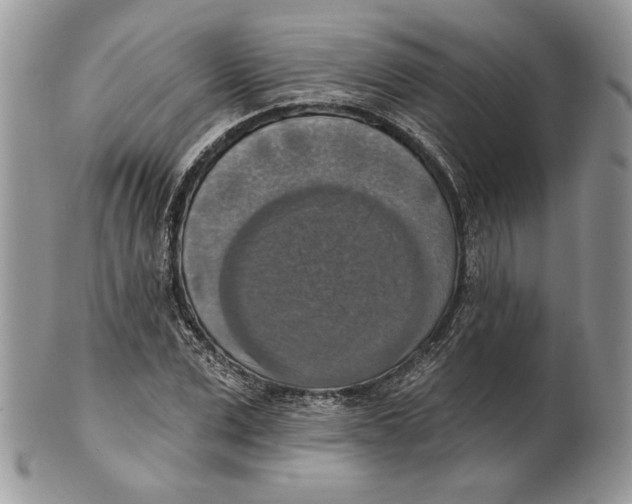 X0000101150975200807251044
