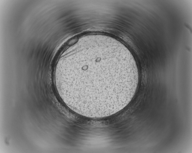 X0000101150976200807251044