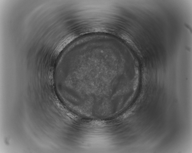 X0000101150977200807251044
