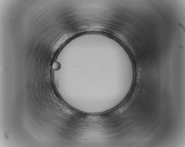 X0000101150978200807251044