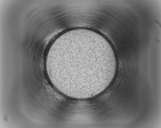X0000101150979200807251044