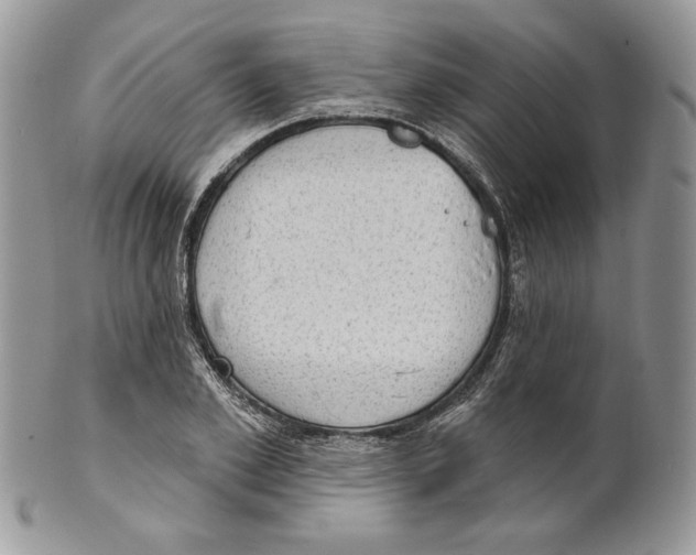 X0000101150981200807251044