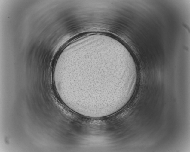 X0000101150982200807251044