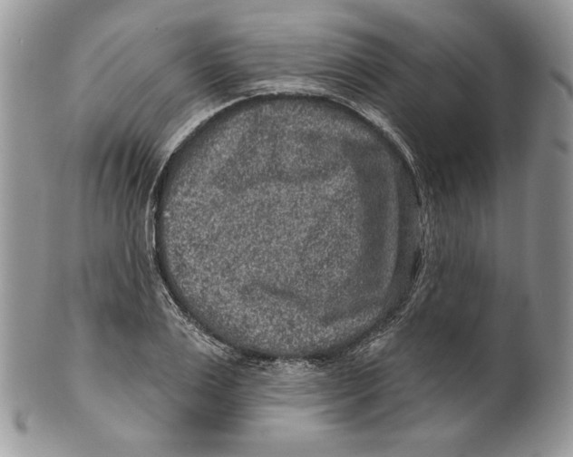 X0000101150983200807251044