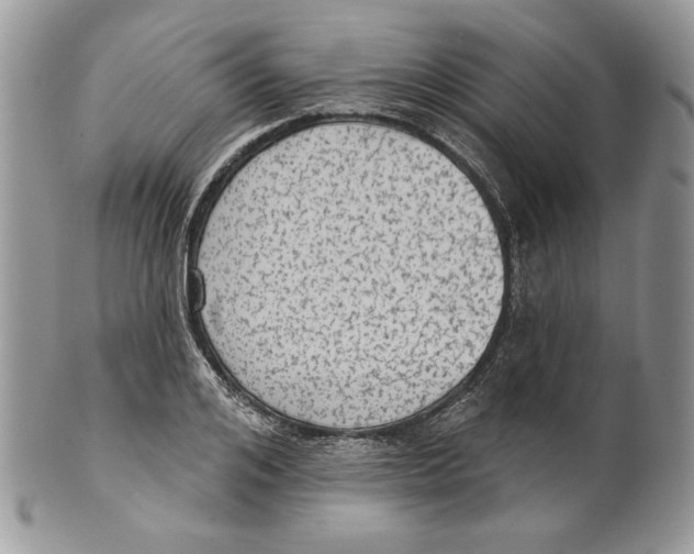 X0000101150984200807251044