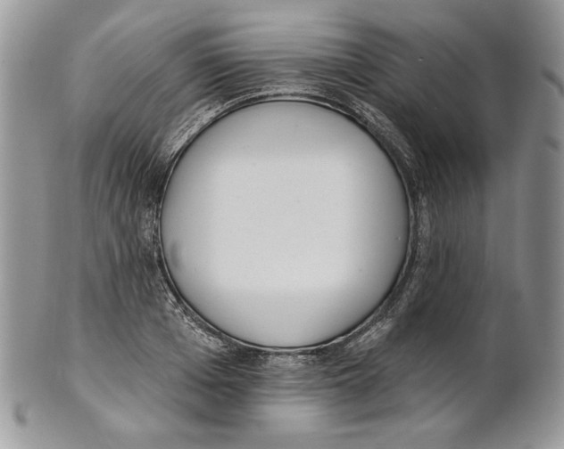 X0000101150985200807251044