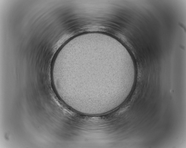 X0000101150986200807251044