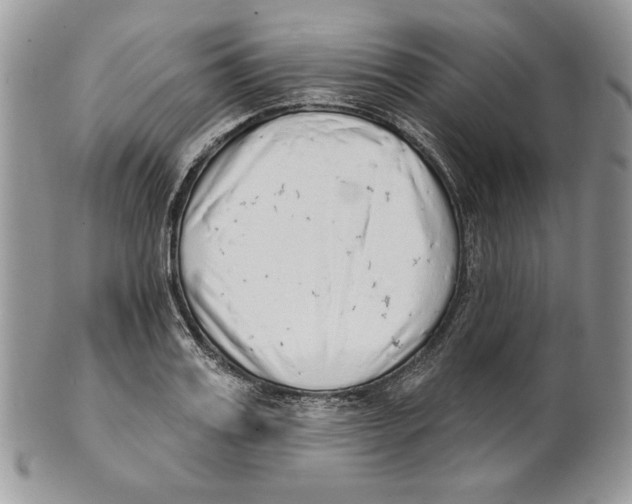 X0000101150987200807251044