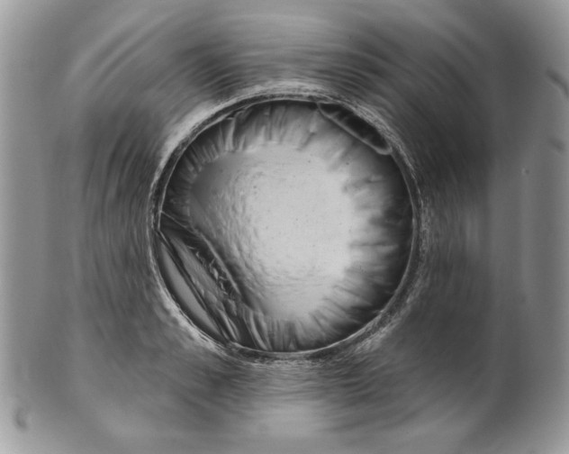 X0000101150989200807251044