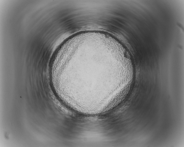 X0000101150990200807251044