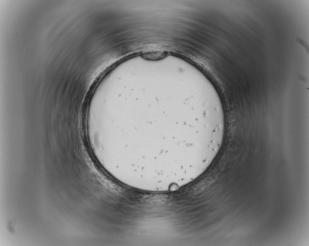 X0000101150991200807251044
