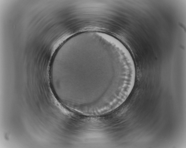 X0000101150995200807251044