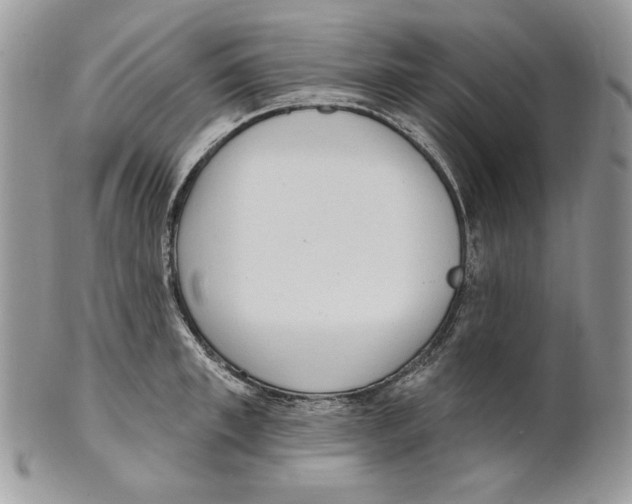X0000101150997200807251044