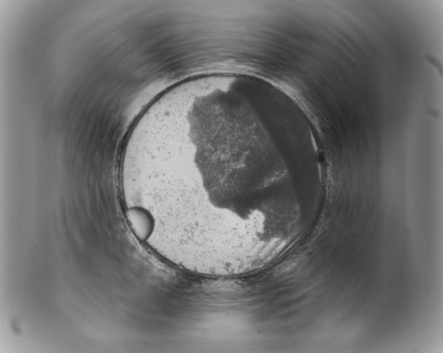 X0000101150998200807251044