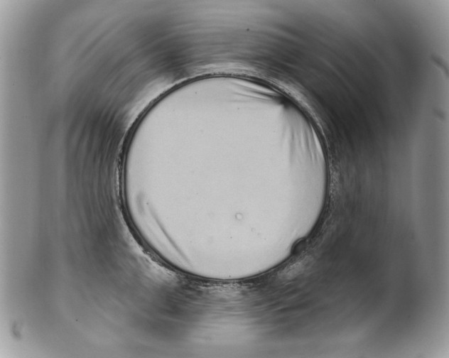 X0000101150999200807251044