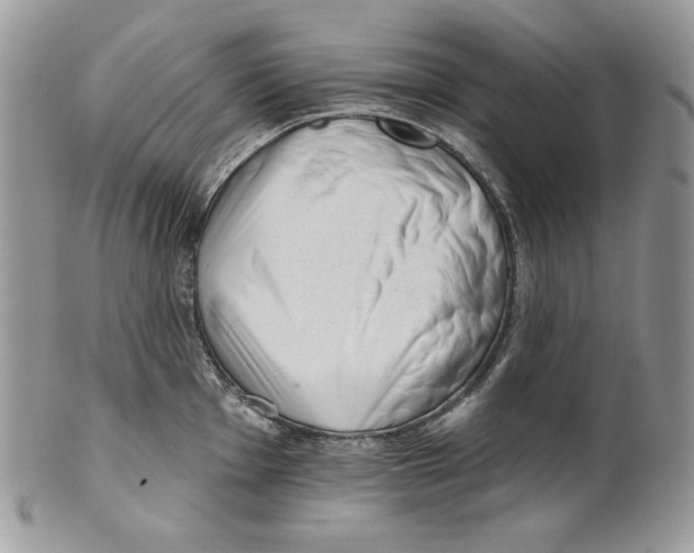 X0000101151001200807251044