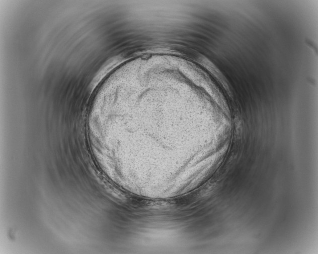X0000101151002200807251044