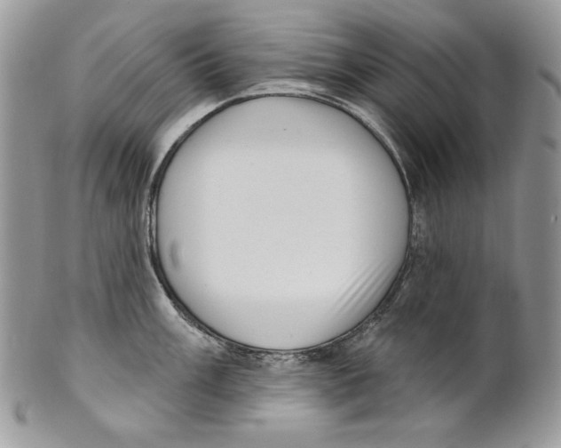 X0000101151003200807251044