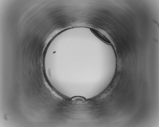 X0000101151005200807251044