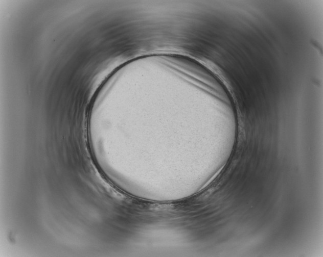 X0000101151006200807251044