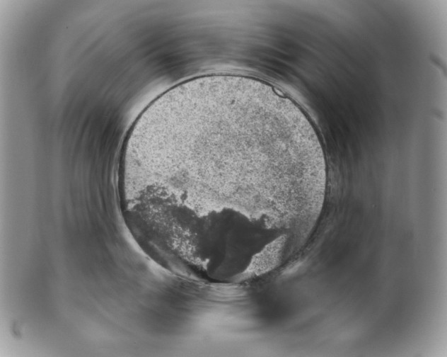 X0000101151007200807251044