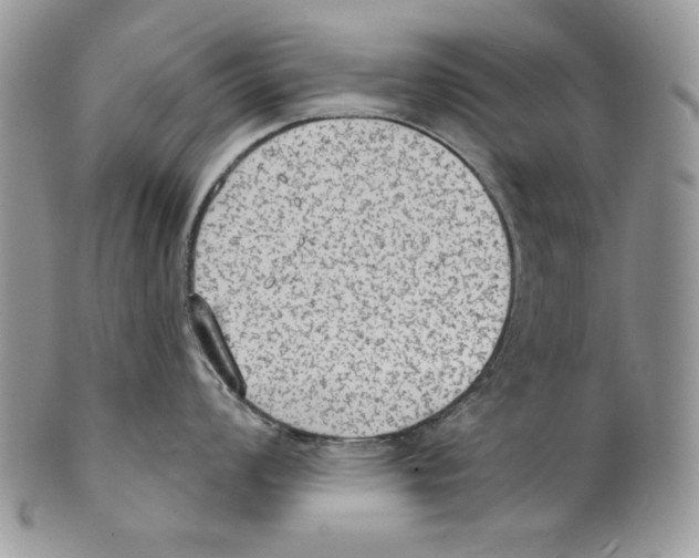 X0000101151008200807251044