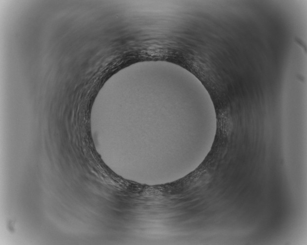 X0000101151009200807251043