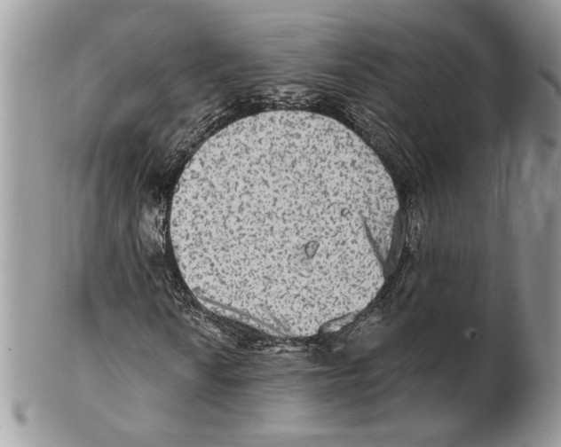 X0000101151010200807251043