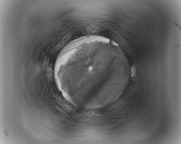 X0000101151011200807251043