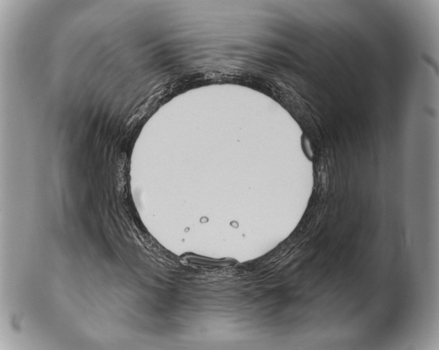 X0000101151012200807251043