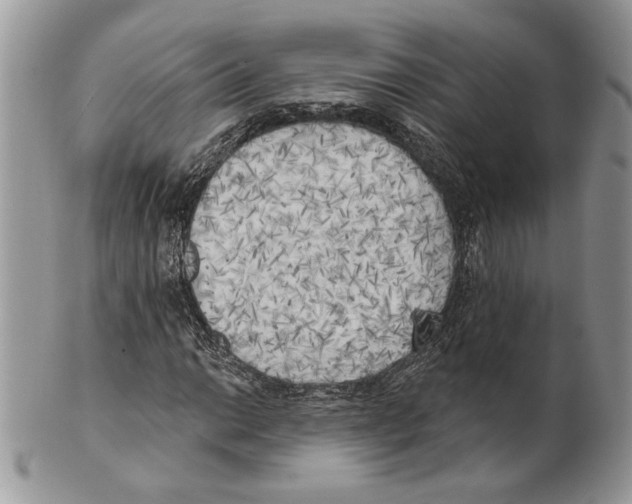 X0000101151014200807251043