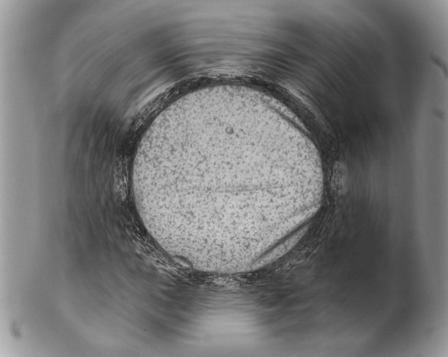 X0000101151015200807251043
