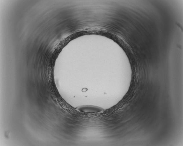 X0000101151016200807251043