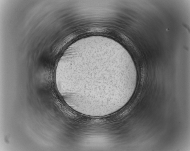 X0000101151017200807251043