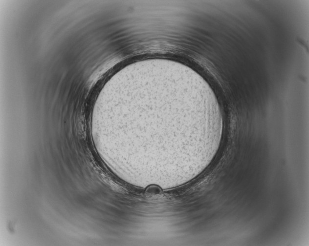 X0000101151018200807251043