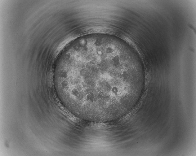 X0000101151019200807251043
