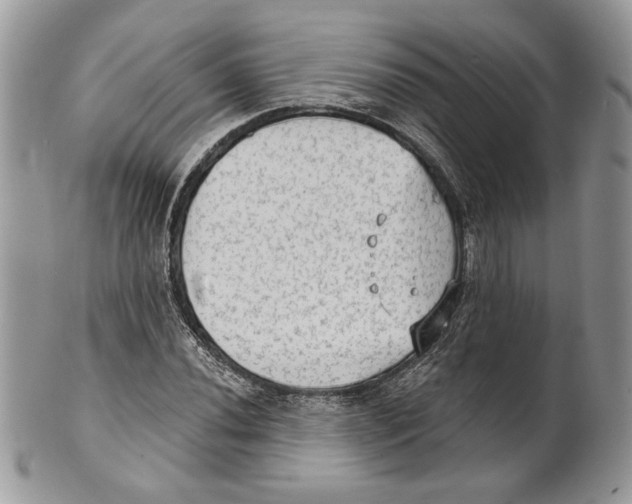 X0000101151020200807251043