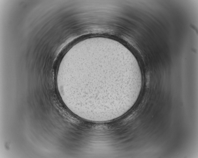 X0000101151021200807251043