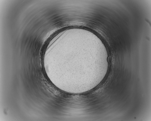 X0000101151022200807251043