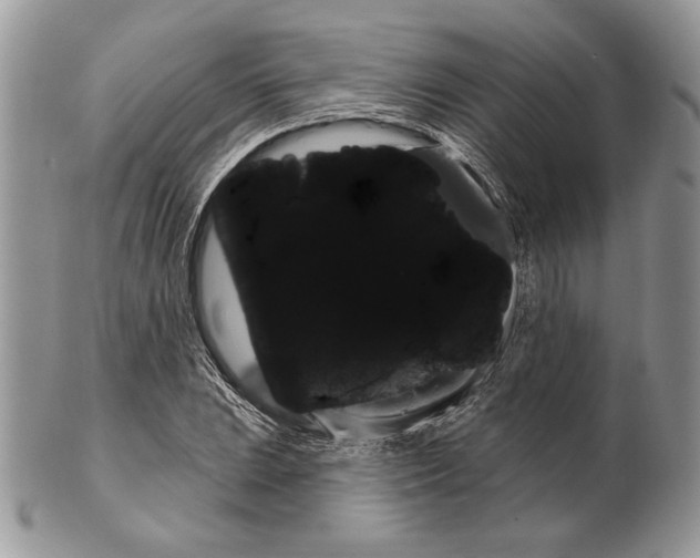 X0000101151023200807251043
